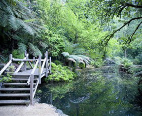 Alfred Nicholas Gardens - NT Tourism 0