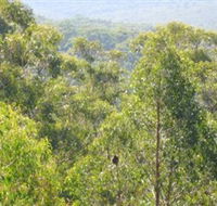 Bunyip State Park - Accommodation NT