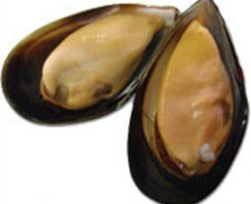 Sea Bounty - Accommodation NT 0