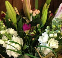 Alpine Blooms Florist Mansfield - Accommodation NT