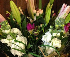 Alpine Blooms Florist Mansfield - Accommodation NT 0