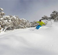 Mt Buller and Mt Stirling Alpine Resort - Accommodation NT