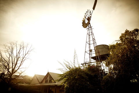 Brown Brothers Milawa Vineyard - Accommodation NT 1