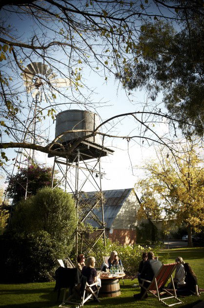 Brown Brothers Milawa Vineyard - Accommodation NT 5