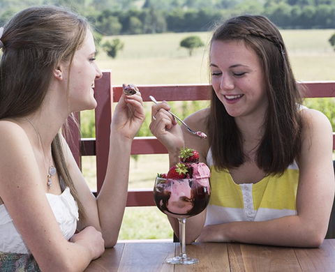 Yarra Valley Chocolaterie & Ice Creamery - Accommodation NT 8