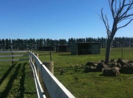 Saddle On Riding School - Accommodation NT 6