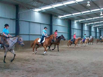 Saddle On Riding School - Accommodation NT 7