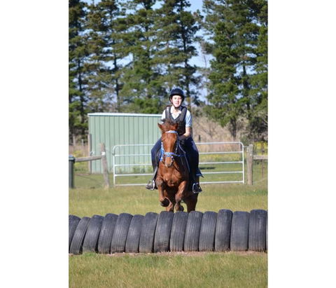 Saddle On Riding School - Accommodation NT 9