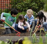 The Ian Potter Foundation Children's Garden - Accommodation NT