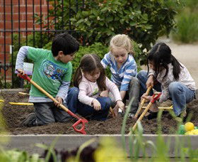 The Ian Potter Foundation Children's Garden - Accommodation NT 0