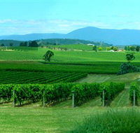 Acacia Ridge Vineyard - Accommodation NT