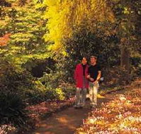 George Tindale Memorial Gardens - Accommodation NT