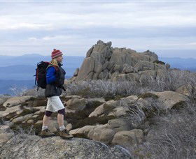 Mount Buffalo National Park - Accommodation NT 0