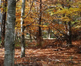 RJ Hamer Arboretum - Accommodation NT 0