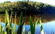 Aura Vale Lake Park - thumb 0