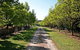 Waybourne Winery - thumb 0