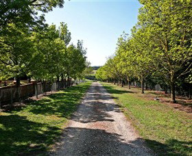 Waybourne Winery - Accommodation NT 0