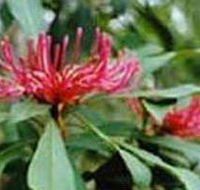 Alfred National Park - Accommodation NT