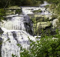 Agnes Falls Scenic Reserve - Accommodation NT