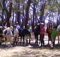 Bellarine Horse Riding Centre - Accommodation NT