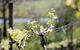 Kyneton Ridge Estate - thumb 0