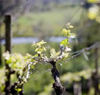 Kyneton Ridge Estate - Accommodation NT