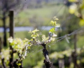 Kyneton Ridge Estate - Accommodation NT 0