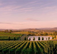 Oakridge Wines - Accommodation NT