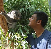 Healesville Sanctuary - Accommodation NT