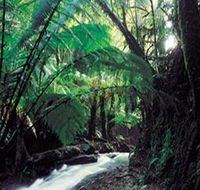 Melba Gully - Accommodation NT