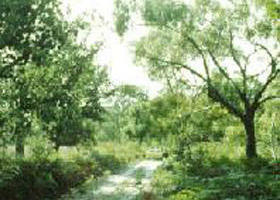 Willung South ACT Accommodation NT