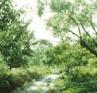 Holey Plains State Park - Accommodation NT