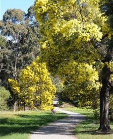 Wattle Park - Accommodation NT 0