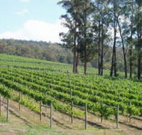Piedmont Vineyard - Accommodation NT