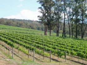 Piedmont Vineyard - Accommodation NT 0