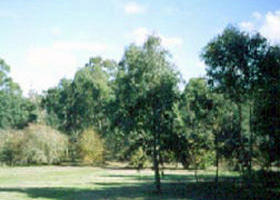 Sweeneys Flat - Accommodation NT 0