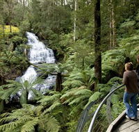 Great Otway National Park - Accommodation NT