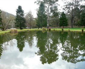 Harrietville VIC Accommodation NT