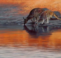 Steve Morvell Wildlife Art - Accommodation NT