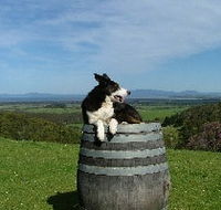 Windy Ridge Vineyard and Winery - Accommodation NT