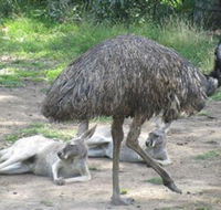 Bundoora Park - Accommodation NT