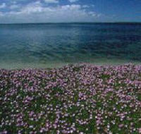 The Lakes National Park - Accommodation NT