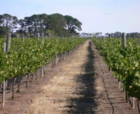 Mount Beckworth Wines - Accommodation NT 0