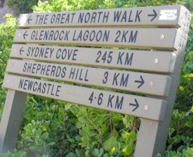 Great North Walk - Accommodation NT 0