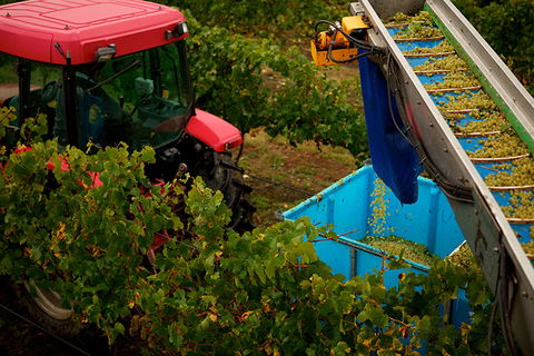 GREENSTONE VINEYARDS - Accommodation NT 3