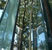 Sydney Sculpture Walk - Accommodation NT