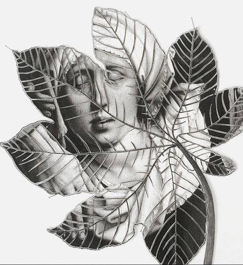 Wollongong Art Gallery - Accommodation NT 2