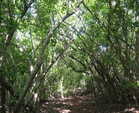 Durras North NSW NT Tourism