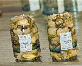 Broadwater Oysters - Accommodation NT 0