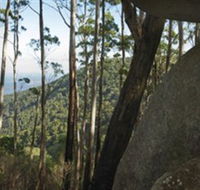 Gulaga National Park - NT Tourism